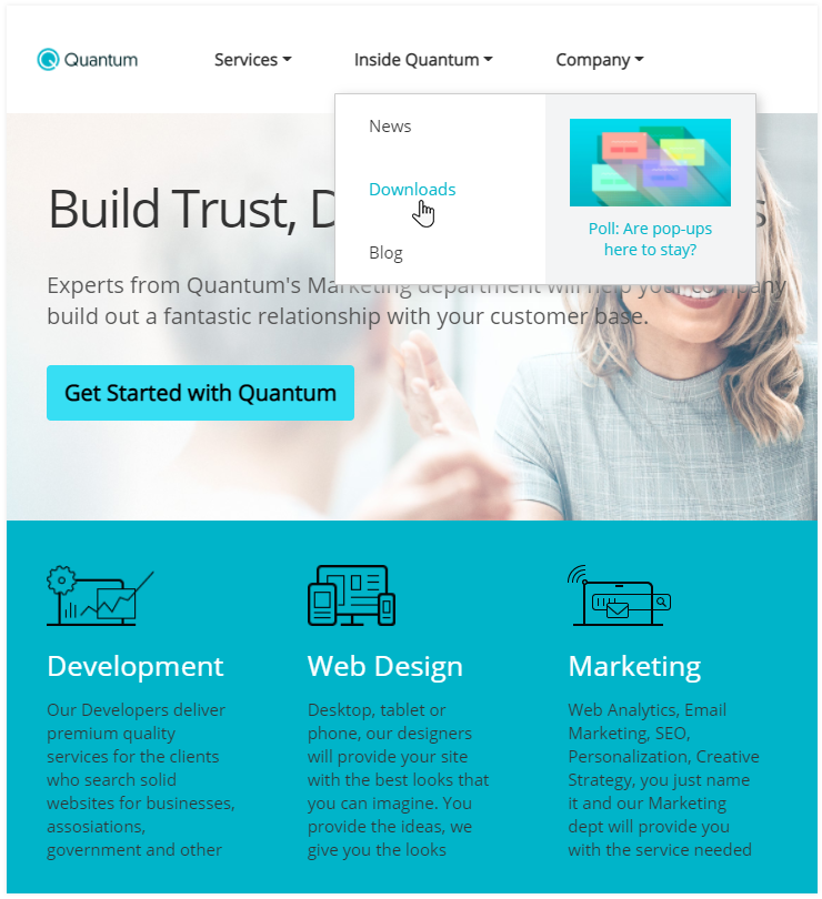 net-core-service-demo-megamenu net-core-service-demo-megamenu
