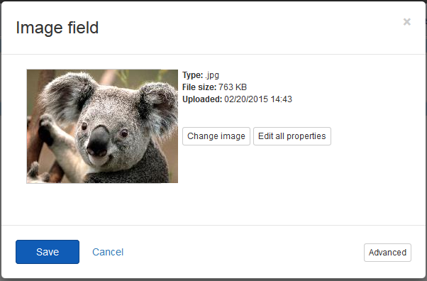 Image field