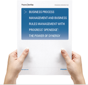 business process management whitepaper