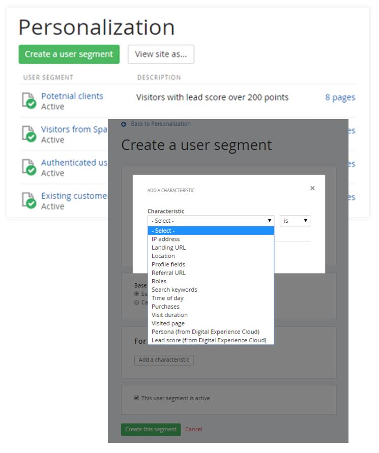 Personalization and User Segments