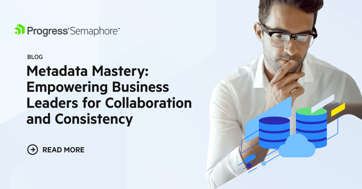 Metadata Team Metadata Mastery: Empowering Leaders for Collaboration and Consistency