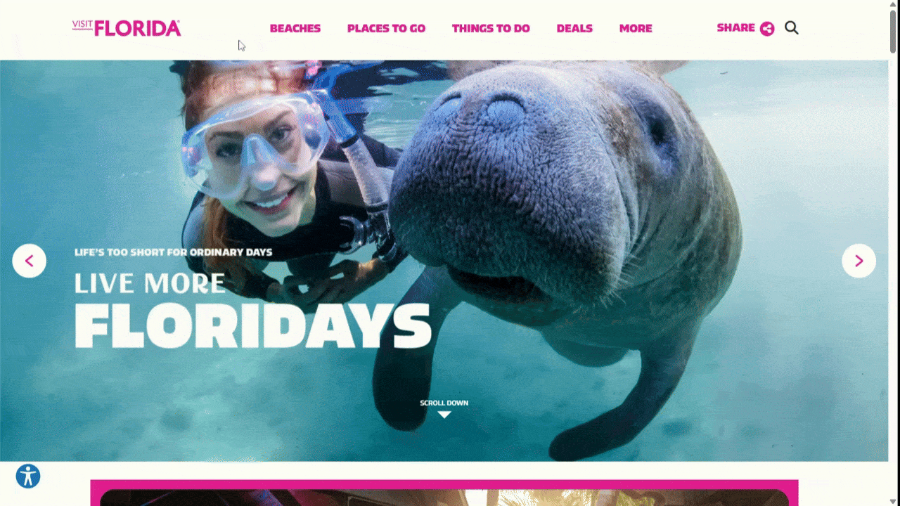 Visit Florida navigation A video showing the website navigation for the Visit Florida website. We see the user explore the top-level category links for Beaches, Places to Go, Things to Do, Deals, and More. As they hover over each, a well-organized mega menu of links and photo cards appears.