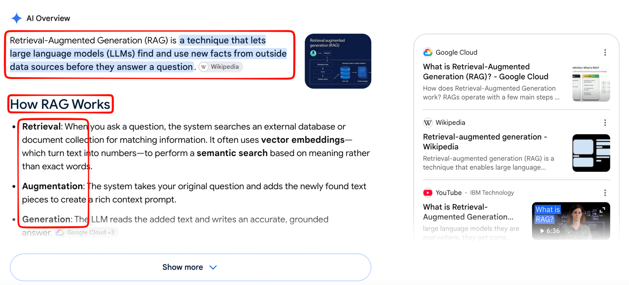 Google AI Overview for RAG