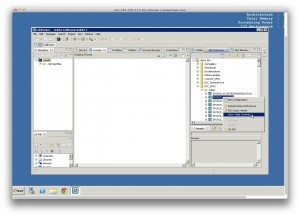 Inspecting Salesforce Data