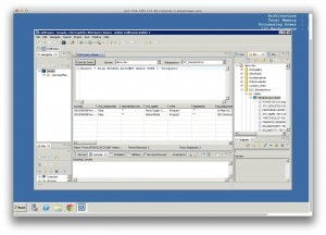 SQL against BMC Remedyforce