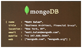 MongoDB JSON Business Card