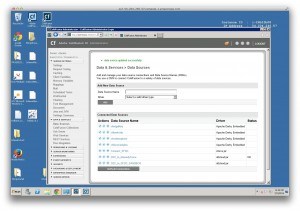 Remedyforce integration with Adobe ColdFusion via JDBC and Datadirect Cloud - Admin Server
