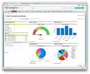 Standard Remedyforce Dashboard