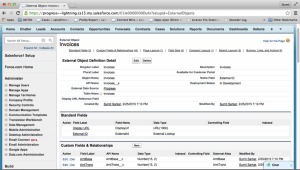 Figure 6: External objects with mapped columns from the database to custom fields