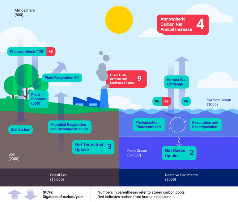 Implementing Retrieval Augmented Generation