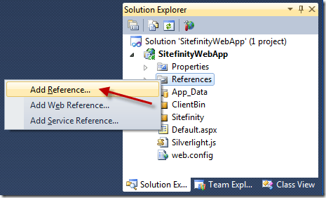 Adding assembly references to a Sitefinity 4.0 project using the Visual Studio Solution Explorer