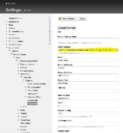 DateOwnerColumnClientTemplate
