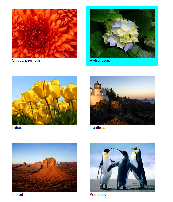 A simple image selector