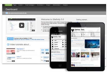 Sitefinity 4.0 CMS Logo