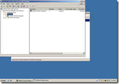 IIS-6-Stopped-Website