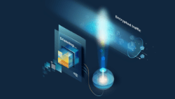 Encrypted Traffic Analysis