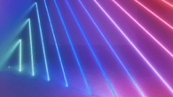 Protecting Against the 10 Most Critical Web Security Risks