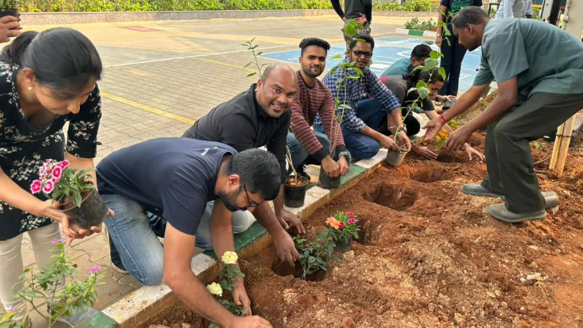 employees in a photo planting plants