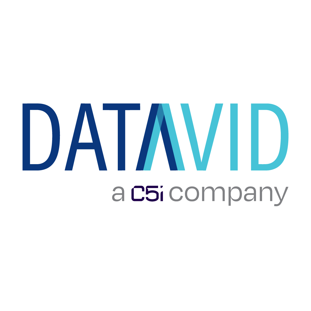 Blue-logo- Datavid