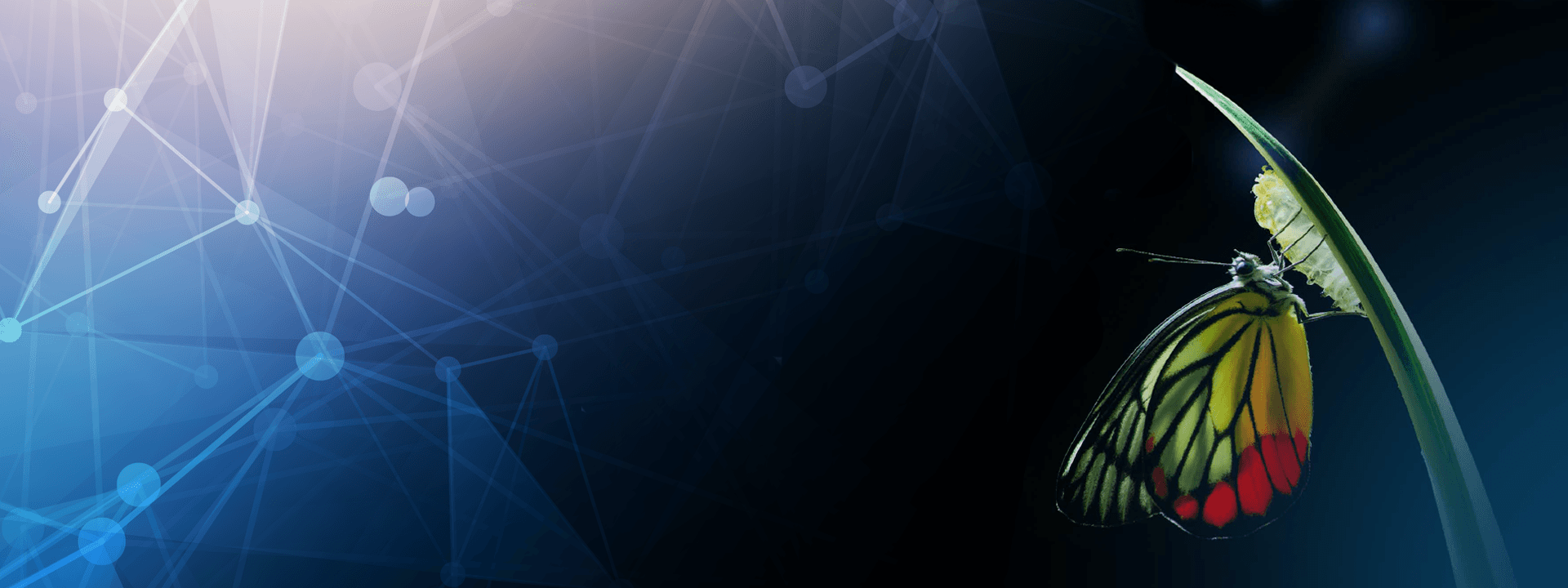 Data Modernization Whitepaper