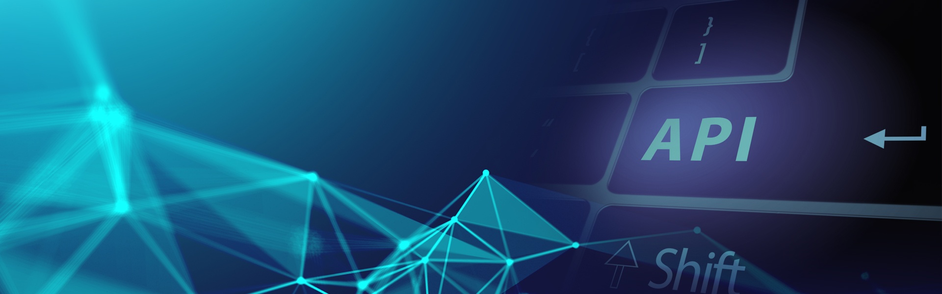 LP_Banner-3