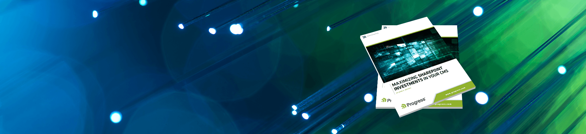 SharePoint CMS Investment