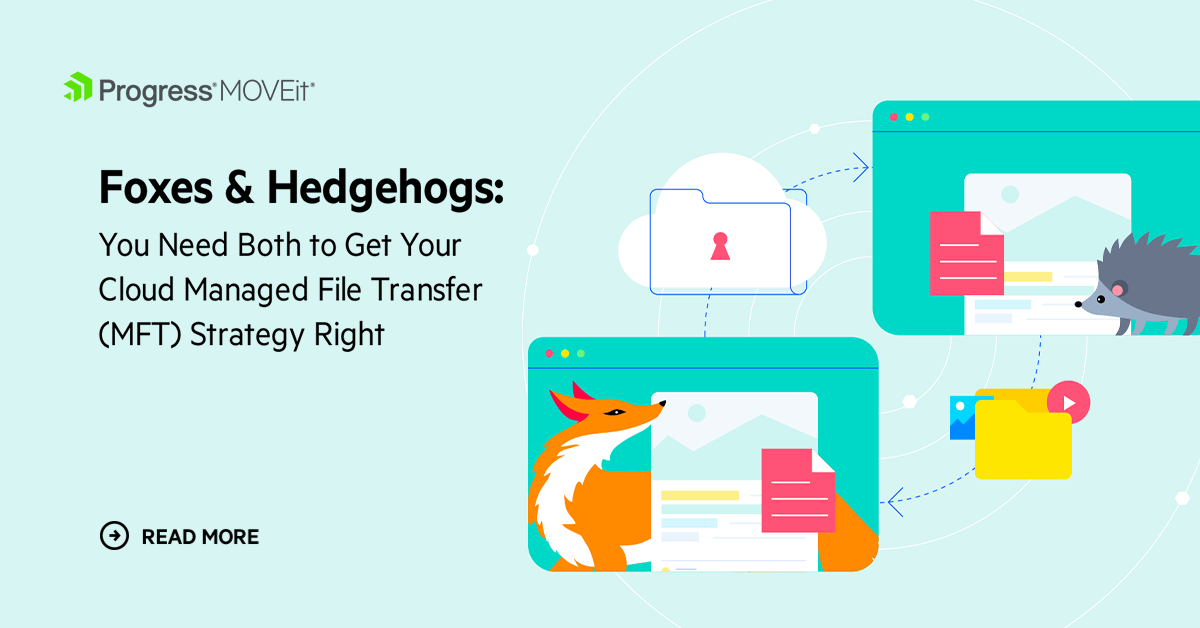 Foxes, Hedgehogs: Get Your Cloud Managed File Transfer Strategy Right