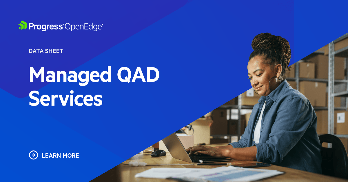 Explore QAD Services from Progress OpenEdge Consultants | Progress OpenEdge