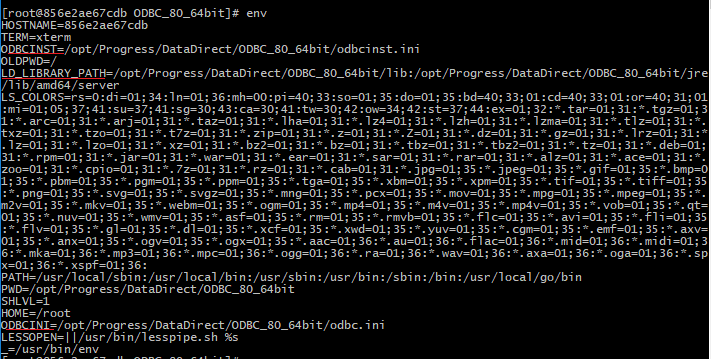 Check Environment variables